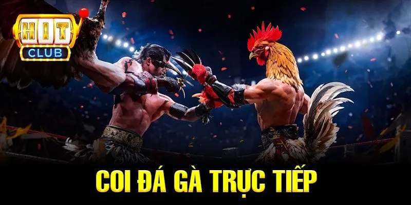 Các loại hình và thể thức đá gà phổ biến tại Hitclub